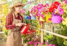 Soda bikarbona je spas za baštovane: Najbolji način da sa njom oporavite svoje cveće