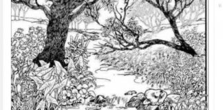 Mnogi su probali, ali nisu uspeli: Svako ko pronađe ženu na fotografiji ima natprosečnu inteligenciju