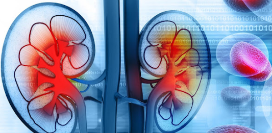 KADA IMATE PROBLEM SA BUBREZIMA: TIJELO VAM ŠALJE OVE SIGNALE: 6 simptoma koje ne smijete ignorisati! (FOTO)