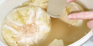 NEĆETE VJEROVATI ZBOG ČEGA SE KVARI KISELI KUPUS: Ovo OBAVEZNO morate da PROVJERITE ili će VAM PROPASTI