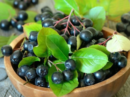 Ova biljka ima najjače antikancerogeno dejstvo! Šaka dnevno i BIĆETE ZDRAVI KAO DREN!