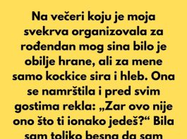 Moja svekrva me ponizila pred cijelom obitelji — i pobrinula sam se da dobije ono što je zaslužila.