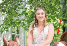 OVA SLIKA JE NAJVEĆI HIT, LJUDI PLAČU OD SMIJEHA: Kad vidite donji dio slike NEĆE VAM BITI DOBRO