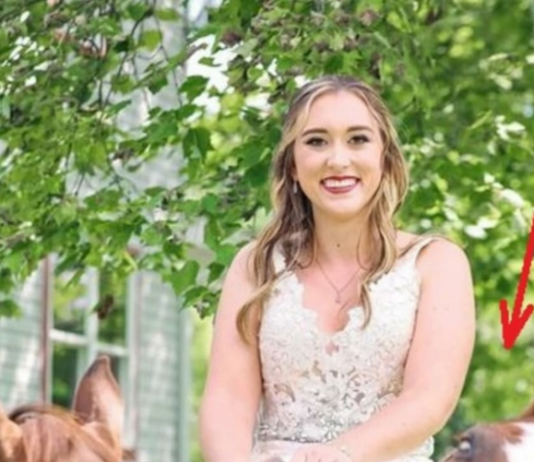 OVA SLIKA JE NAJVEĆI HIT, LJUDI PLAČU OD SMIJEHA: Kad vidite donji dio slike NEĆE VAM BITI DOBRO