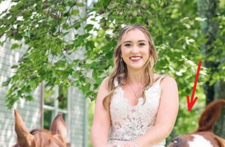 OVA SLIKA JE NAJVEĆI HIT, LJUDI PLAČU OD SMIJEHA: Kad vidite donji dio slike NEĆE VAM BITI DOBRO