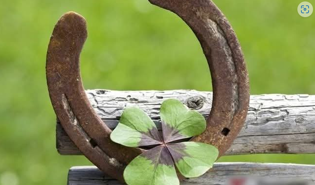 Screenshot-2025-05-17-120615