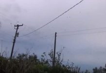 Mislio je da snima jato ptica na nebu, ali kada je zumirao kameru umalo je dobio infarkt (VIDEO)