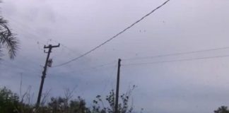 Mislio je da snima jato ptica na nebu, ali kada je zumirao kameru umalo je dobio infarkt (VIDEO)