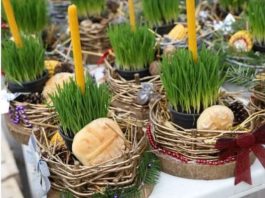 Ako se BOŽIĆNA PŠENICA POSADI NA OVAJ DAN kuća će biti blagoslovena cele godine