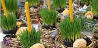 Ako se BOŽIĆNA PŠENICA POSADI NA OVAJ DAN kuća će biti blagoslovena cele godine