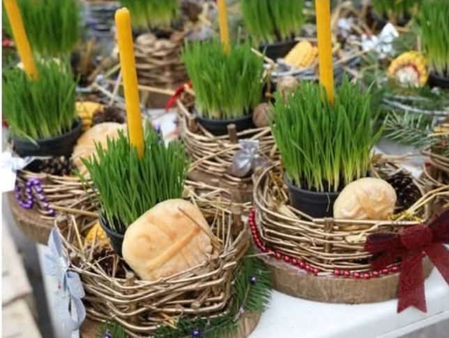 Ako se BOŽIĆNA PŠENICA POSADI NA OVAJ DAN kuća će biti blagoslovena cele godine