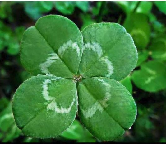 6 ZNAKOVA DA ĆE VAM SE USKORO DESITI NEŠTO DOBRO: Evo na koje SIGNALE treba da obratite pažnju