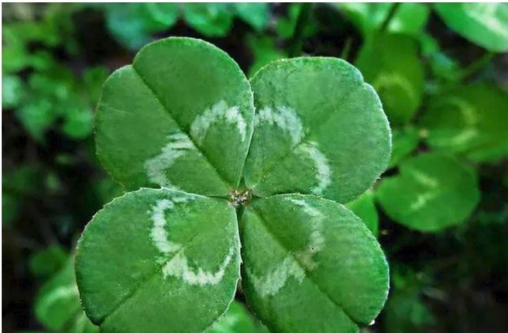 6 ZNAKOVA DA ĆE VAM SE USKORO DESITI NEŠTO DOBRO: Evo na koje SIGNALE treba da obratite pažnju