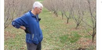 “ČUDO NEVIĐENO” U GORNJEM VAKUFU O KOJEM PRIČA REGIJA: “Kao da stižu posljednji dani” (VIDEO)