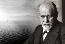 7 razloga zašto sin ne ceni i ne poštuje majku: Čuveni psiholog otkrio je kako da to rešite u jednom potezu