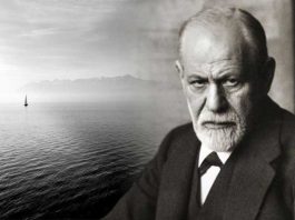 7 razloga zašto sin ne ceni i ne poštuje majku: Čuveni psiholog otkrio je kako da to rešite u jednom potezu