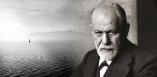 7 razloga zašto sin ne ceni i ne poštuje majku: Čuveni psiholog otkrio je kako da to rešite u jednom potezu