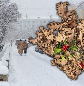 Kada se po pravilu ide po badnjak? Domaćin pre seče obavezan da uradi jednu stvar, a evo šta crkva kaže za položajnika