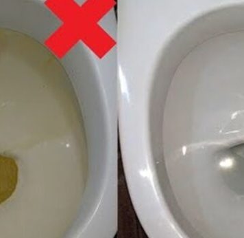 Nije sirće ni soda bikarbona: Ovo sredstvo najbolje uklanja kamenac u WC šolji