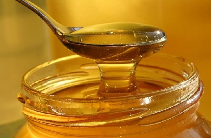 Pčelar pokazao gdje u kući treba čuvati med: VEĆINA LJUDI TO RADI POGREŠNO!