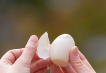 Kuhana jaja se ljušte u jednom potezu: Samo dodajte 1 sastojak u vodu i ljuska spada sama