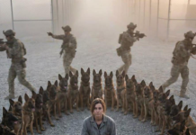 „Vrati se na posao“, naredio je oficir — ali 47 vojnih pasa odbilo je da se pomeri, stajući između njega i žene koju su previše dobro poznavali.