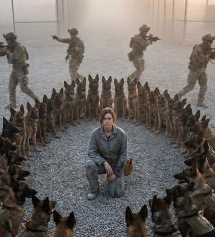 „Vrati se na posao“, naredio je oficir — ali 47 vojnih pasa odbilo je da se pomeri, stajući između njega i žene koju su previše dobro poznavali.