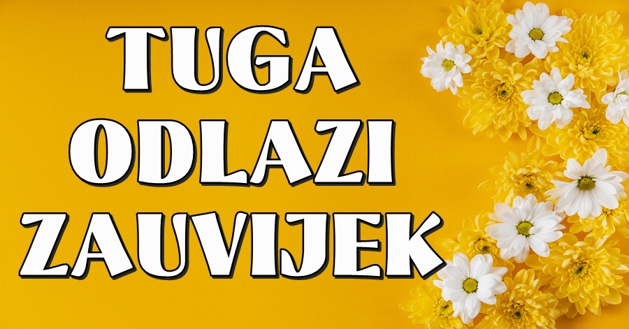 beautiful-spring-flowers-composition-with-copy-spaceDGH