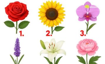 TEST: Koji cvijet vam se najviše dopada? – On otkriva kako vas drugi zapravo vide!