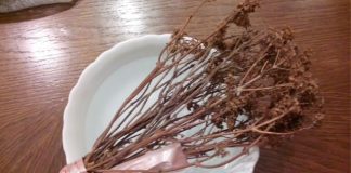 Veliki greh je da se prospe: A šta je ispravno uraditi sa starom, kada uzmemo novu osveštanu vodu? Veliki greh je da se prospe: A šta je ispravno uraditi sa starom, kada uzmemo novu osveštanu vodu? - featured image