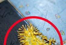 Pronašao sam ovo u kupaonici svoje djevojke. Gledamo to već sat vremena i još uvijek ne možemo shvatiti što je to. Pronašao sam ovo u kupaonici svoje djevojke. Gledamo to već sat vremena i još uvijek ne možemo shvatiti što je to. - featured image