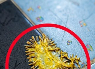 Pronašao sam ovo u kupaonici svoje djevojke. Gledamo to već sat vremena i još uvijek ne možemo shvatiti što je to. Pronašao sam ovo u kupaonici svoje djevojke. Gledamo to već sat vremena i još uvijek ne možemo shvatiti što je to. - featured image