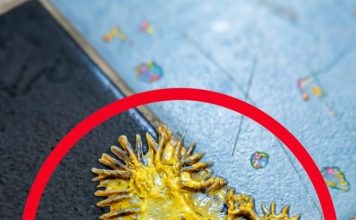 Pronašao sam ovo u kupaonici svoje djevojke. Gledamo to već sat vremena i još uvijek ne možemo shvatiti što je to. Pronašao sam ovo u kupaonici svoje djevojke. Gledamo to već sat vremena i još uvijek ne možemo shvatiti što je to. - featured image