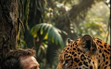 Jaguar je pronašao čovjeka kojeg su krivolovci vezali za drvo u najdubljem dijelu džungle i ostavili na miru: ali ono što je predator učinio šokiralo ga je 😨😲 Jaguar je pronašao čovjeka kojeg su krivolovci vezali za drvo u najdubljem dijelu džungle i ostavili na miru: ali ono što je predator učinio šokiralo ga je 😨😲 - featured image