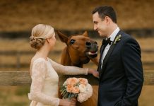 Tokom svadbenog fotografisanja, moj konj je iznenada počeo da rže kad je video mog verenika, a zatim ga je ugrizao — tek kasnije sam shvatila zašto… Tokom svadbenog fotografisanja, moj konj je iznenada počeo da rže kad je video mog verenika, a zatim ga je ugrizao — tek kasnije sam shvatila zašto… - featured image