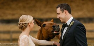 Tokom svadbenog fotografisanja, moj konj je iznenada počeo da rže kad je video mog verenika, a zatim ga je ugrizao — tek kasnije sam shvatila zašto… Tokom svadbenog fotografisanja, moj konj je iznenada počeo da rže kad je video mog verenika, a zatim ga je ugrizao — tek kasnije sam shvatila zašto… - featured image