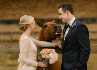 Tokom svadbenog fotografisanja, moj konj je iznenada počeo da rže kad je video mog verenika, a zatim ga je ugrizao — tek kasnije sam shvatila zašto… Tokom svadbenog fotografisanja, moj konj je iznenada počeo da rže kad je video mog verenika, a zatim ga je ugrizao — tek kasnije sam shvatila zašto… - featured image
