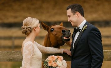 Tokom svadbenog fotografisanja, moj konj je iznenada počeo da rže kad je video mog verenika, a zatim ga je ugrizao — tek kasnije sam shvatila zašto… Tokom svadbenog fotografisanja, moj konj je iznenada počeo da rže kad je video mog verenika, a zatim ga je ugrizao — tek kasnije sam shvatila zašto… - featured image