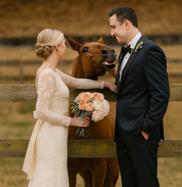 Tokom svadbenog fotografisanja, moj konj je iznenada počeo da rže kad je video mog verenika, a zatim ga je ugrizao — tek kasnije sam shvatila zašto… Tokom svadbenog fotografisanja, moj konj je iznenada počeo da rže kad je video mog verenika, a zatim ga je ugrizao — tek kasnije sam shvatila zašto… - featured image