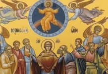 Spasovdan je toliko veliki praznik da su ga vekovima slavili i muslimani i katolici: Za napredak svakog člana porodice, red je da uradite ovo Spasovdan je toliko veliki praznik da su ga vekovima slavili i muslimani i katolici: Za napredak svakog člana porodice, red je da uradite ovo - featured image
