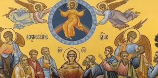 Spasovdan je toliko veliki praznik da su ga vekovima slavili i muslimani i katolici: Za napredak svakog člana porodice, red je da uradite ovo Spasovdan je toliko veliki praznik da su ga vekovima slavili i muslimani i katolici: Za napredak svakog člana porodice, red je da uradite ovo - featured image