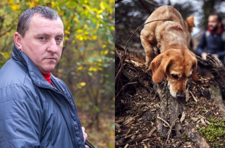 Pas je uznemireno lajao i poveo me u šumu, a onda sam nakon 30 godina saznao istinu o nestanku svog oca: Prizor koji sam zatekao sledio mi je krv u žilama Pas je uznemireno lajao i poveo me u šumu, a onda sam nakon 30 godina saznao istinu o nestanku svog oca: Prizor koji sam zatekao sledio mi je krv u žilama - featured image