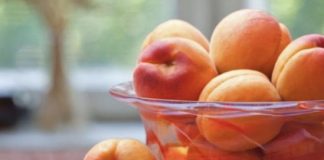 EVO ZAŠTO SE SEME KAJSIJE SMATRA NAJMOĆNIJIM LEKOM IZ PRIRODE: Obavezan deo ishrane! EVO ZAŠTO SE SEME KAJSIJE SMATRA NAJMOĆNIJIM LEKOM IZ PRIRODE: Obavezan deo ishrane! - featured image