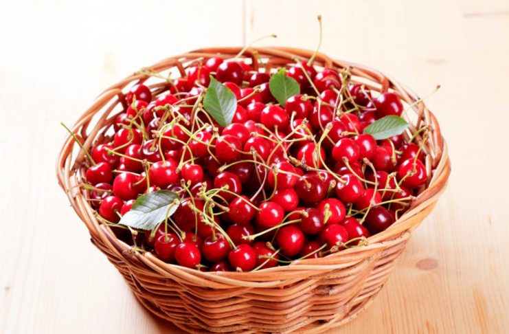 Ne bacaj peteljke od trešanja! Ovo je razlog zbog kojeg su jako korisne Ne bacaj peteljke od trešanja! Ovo je razlog zbog kojeg su jako korisne - featured image