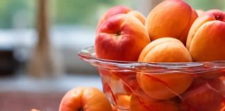 Evo zašto se seme kajsije smatra najmoćnijim lekom iz prirode: Obavezan deo ishrane! Evo zašto se seme kajsije smatra najmoćnijim lekom iz prirode: Obavezan deo ishrane! - featured image
