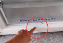 Ima ga u skoro svakom zamrzivaču: Malo ljudi zna čemu OVA STVAR služi! Ima ga u skoro svakom zamrzivaču: Malo ljudi zna čemu OVA STVAR služi! - featured image