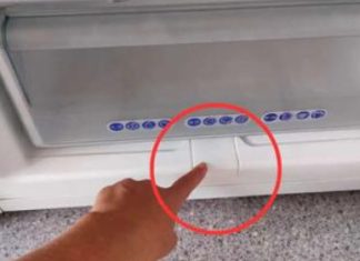 Ima ga u skoro svakom zamrzivaču: Malo ljudi zna čemu OVA STVAR služi! Ima ga u skoro svakom zamrzivaču: Malo ljudi zna čemu OVA STVAR služi! - featured image