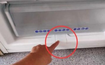 Ima ga u skoro svakom zamrzivaču: Malo ljudi zna čemu OVA STVAR služi! Ima ga u skoro svakom zamrzivaču: Malo ljudi zna čemu OVA STVAR služi! - featured image