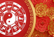 VELIKI KINESKI HOROSKOP ZA SEPTEMBAR: Saznajte šta mjesec velikih promjena donosi svakom znaku – nekome novac, nekome ljubav, a nekome sudbinsku prekretnicu!